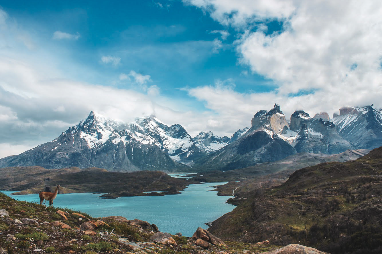 #09 Magallanes_Parque Nacional Torres del Paine, más allá de las maravillas rocosas. Por Haiken Geo