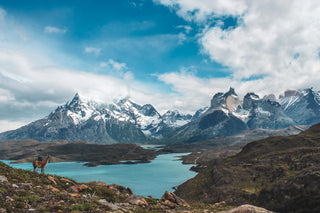 #09 Magallanes_Parque Nacional Torres del Paine, más allá de las maravillas rocosas. Por Haiken Geo